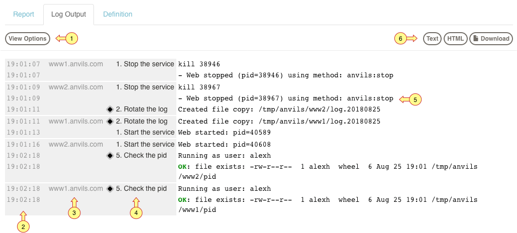 Log output view