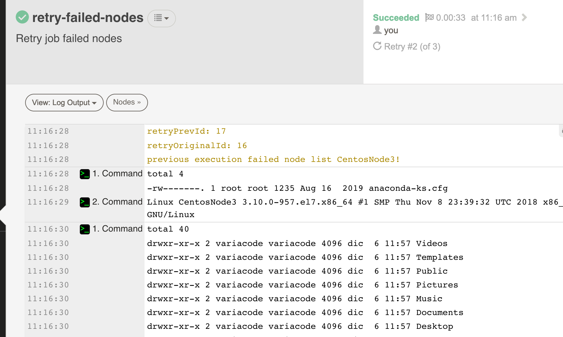 Next Retry Execution Log