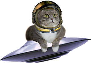 Space Cat Image