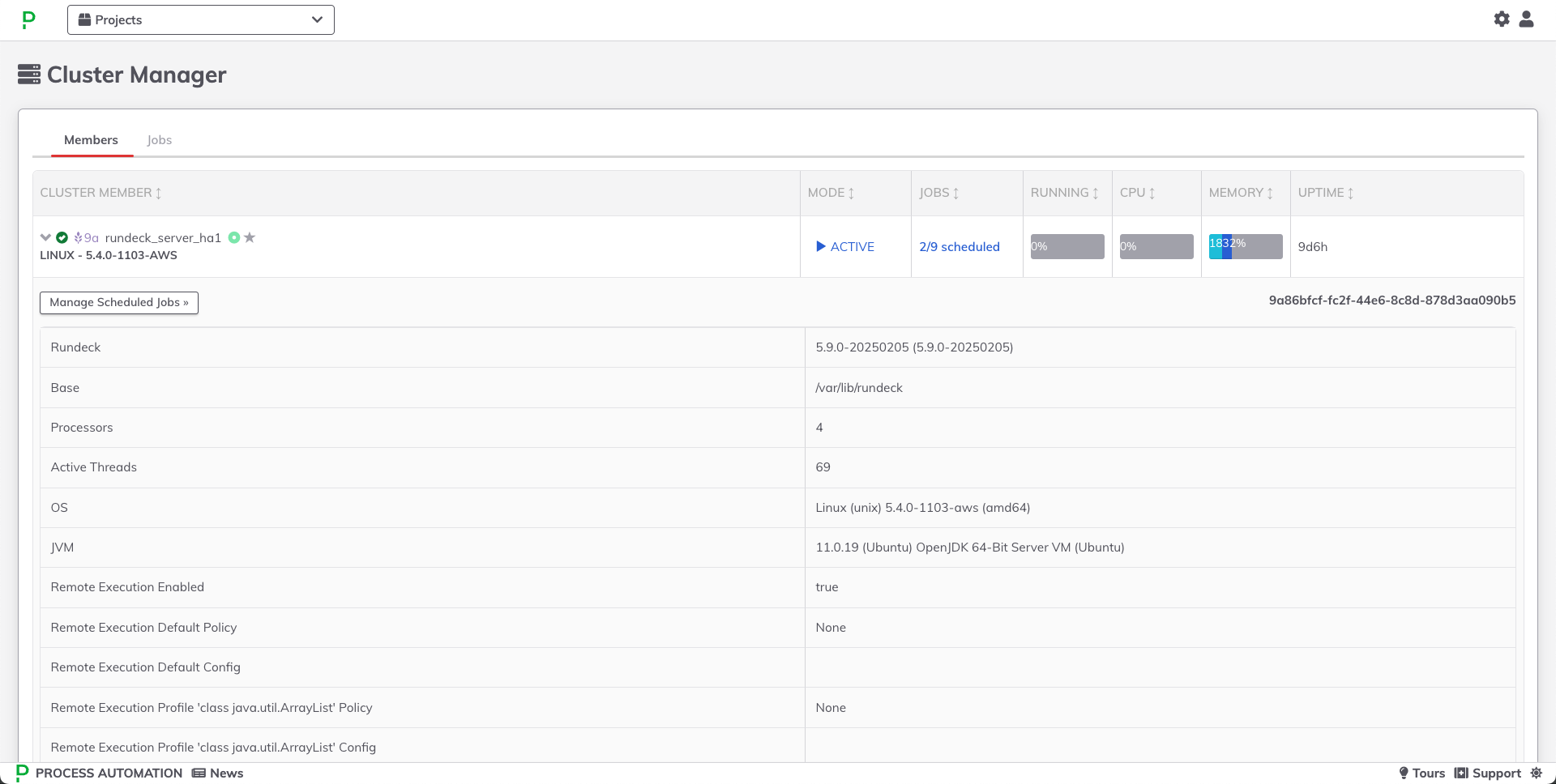 Cluster Member Details