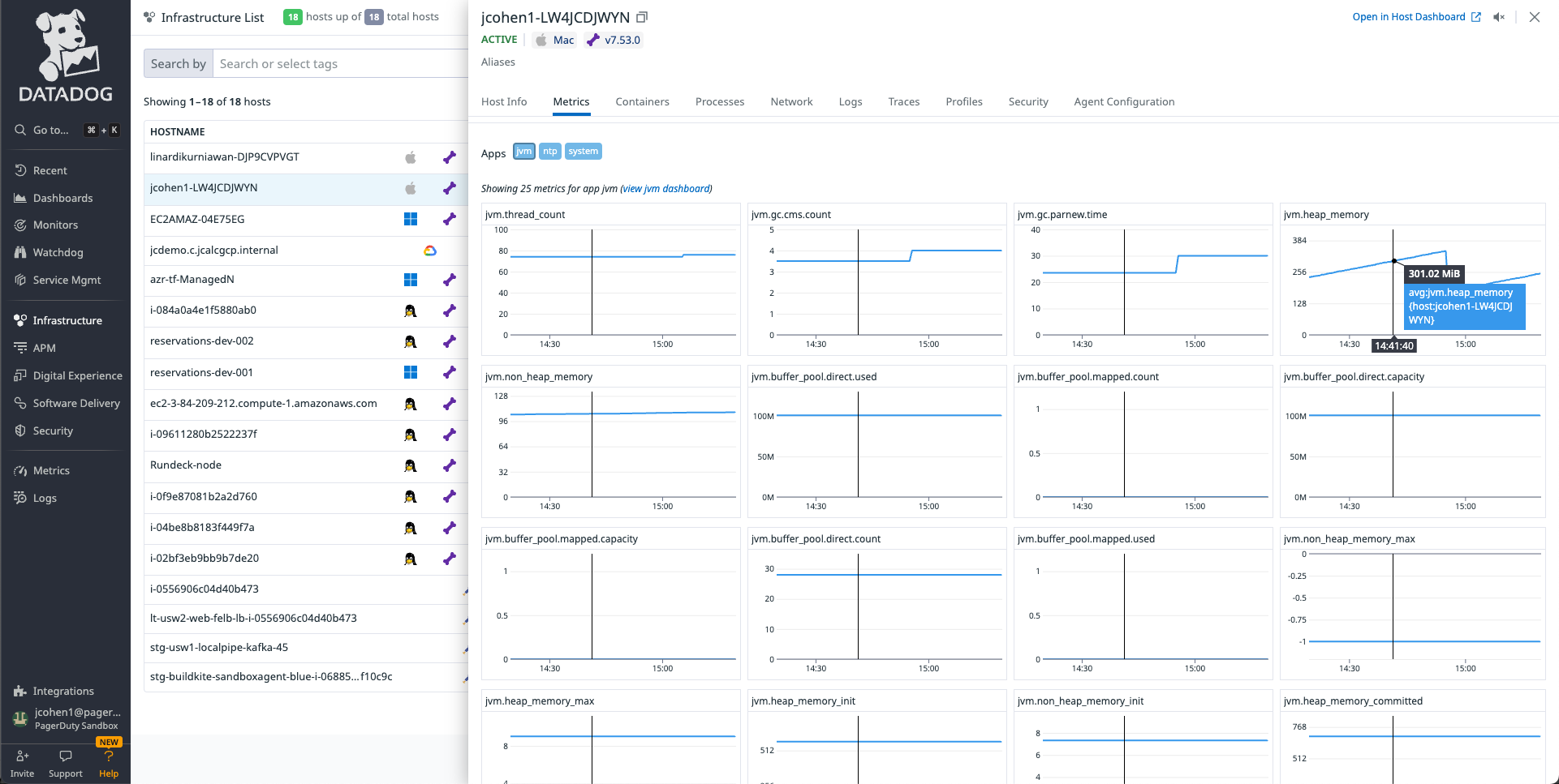 Datadog Monitoring Runner