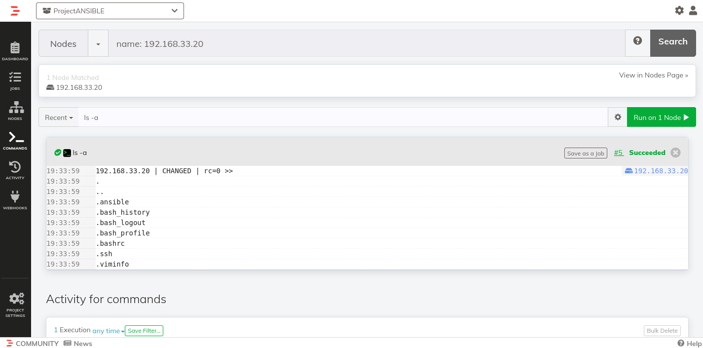 Run Test Commands